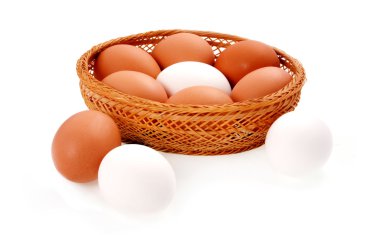 a lot of fresh chicken eggs clipart