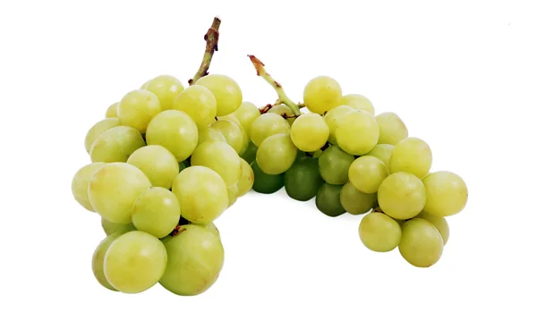 stock image Beautiful mature bunch of white grapes