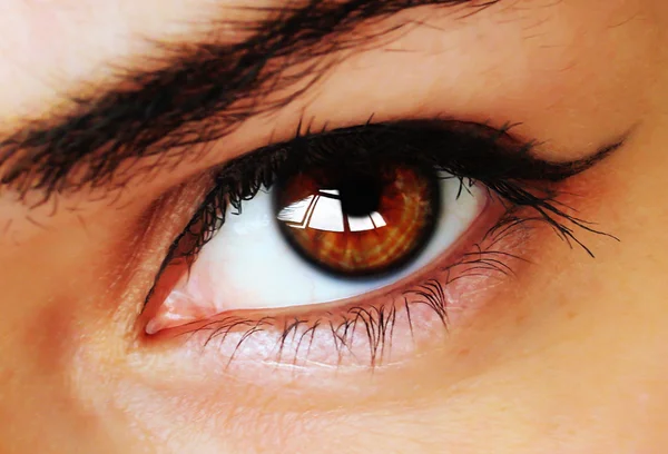 Occhio marrone con trucco — Foto Stock