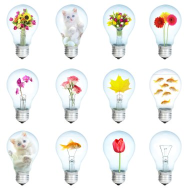 Twelve electric bulbs clipart