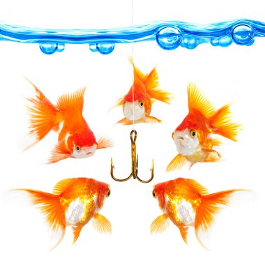 Five small fishes at a hook clipart