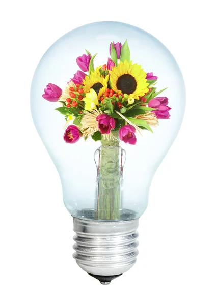 Electrobulb with a bunch of flowers on a — Stock Photo, Image