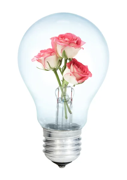 Electrobulb με ένα μάτσο τριαντάφυλλο — Φωτογραφία Αρχείου