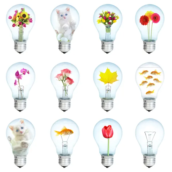 Doze lâmpadas elétricas — Fotografia de Stock