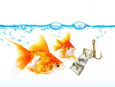 Gold small fishes under water clipart