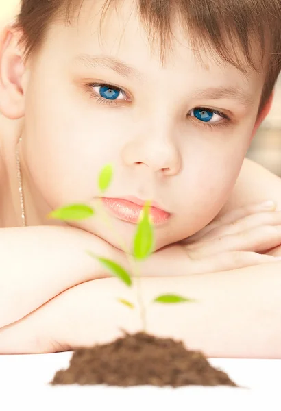 The boy observes cultivation of a young — Stock Photo, Image