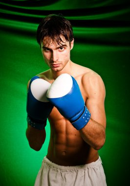 Boxing. Man in boxing gloves clipart