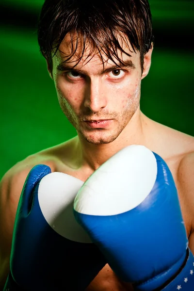 Boxing. Man in boxing gloves Stock Image