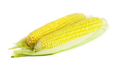 Corn clipart