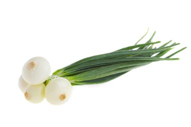 Spring onions clipart