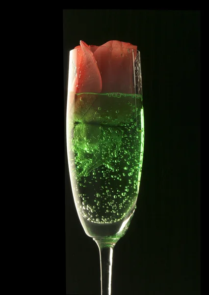 Bicchiere con una rosa . — Foto Stock