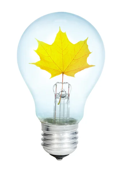 Electrobulb with maple leaf — Stock Photo, Image