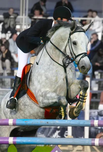 Jockey bir engel atlar — Stok fotoğraf