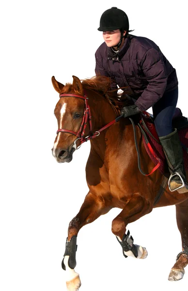 La chica que el ecuestre salta en un caballo — Foto de Stock