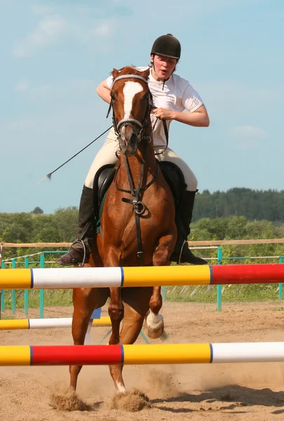 La chica salta en un caballo — Foto de Stock