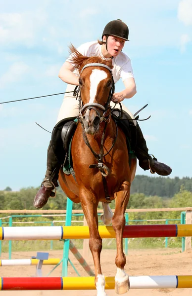 A menina pula em um cavalo — Fotografia de Stock