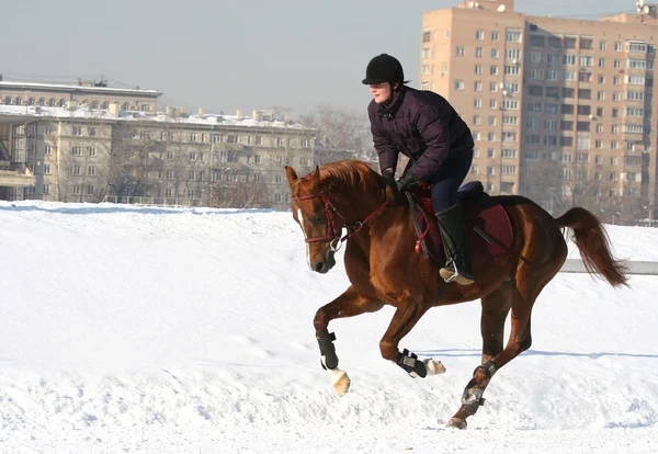 Het meisje de paardensport slaat op een paard — Stockfoto