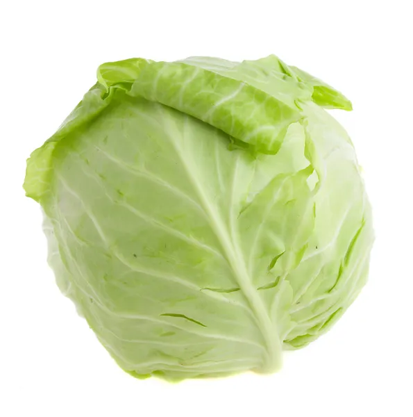 Cabbage-head — Stock fotografie