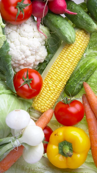 Zöldség. egészséges táplálkozás — Stock Fotó