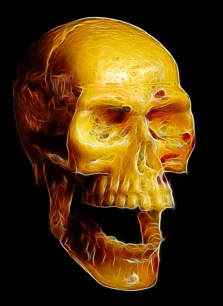 Crâne humain isolé sur noir — Photo