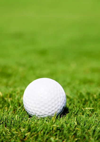 Bal voor een golf — Stockfoto