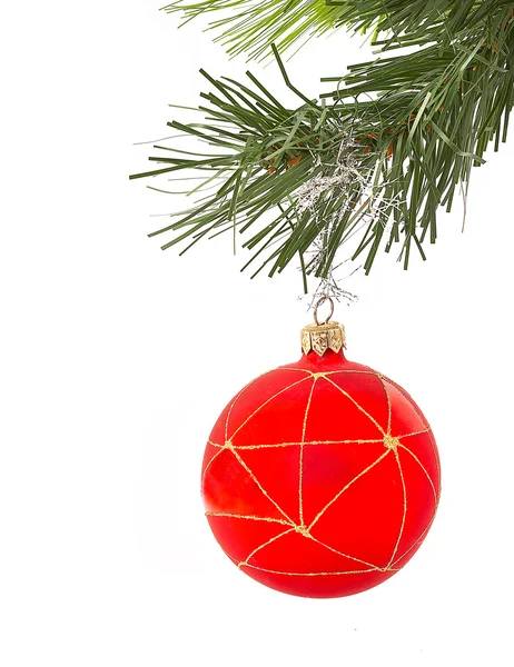 Vánoční kožešin strom na bílém pozadí — Stock fotografie