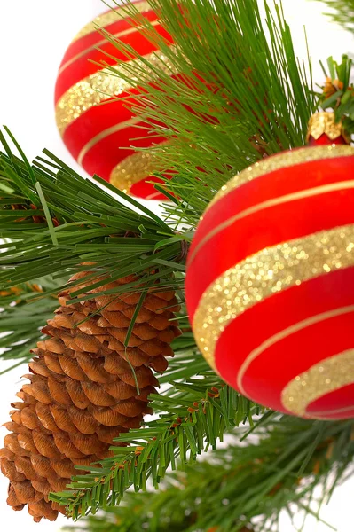 Vánoční kožešin strom na bílém pozadí — Stock fotografie