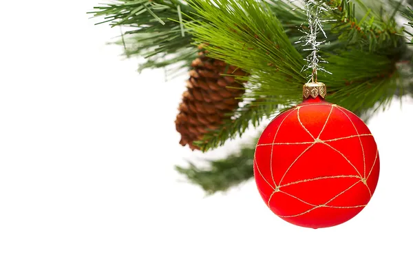 Beyaz zemin üzerinde kürk Noel ağacı — Stok fotoğraf