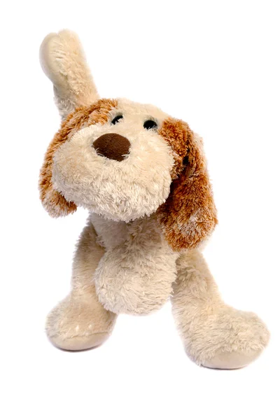 stock image Dog toy