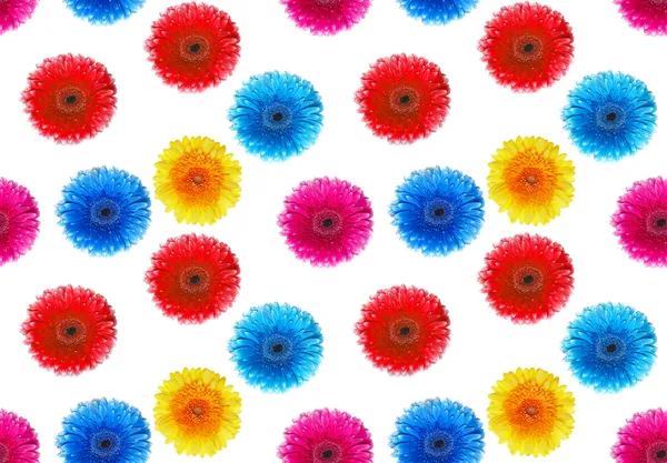 Kwiaty gerbers bezszwowe tło — Zdjęcie stockowe