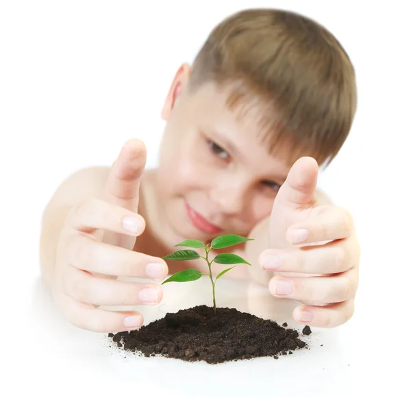 Jonge plant--wedstrijd — Stockfoto
