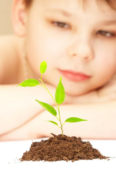 Chlapec dodržuje pěstování mladé — Stock fotografie