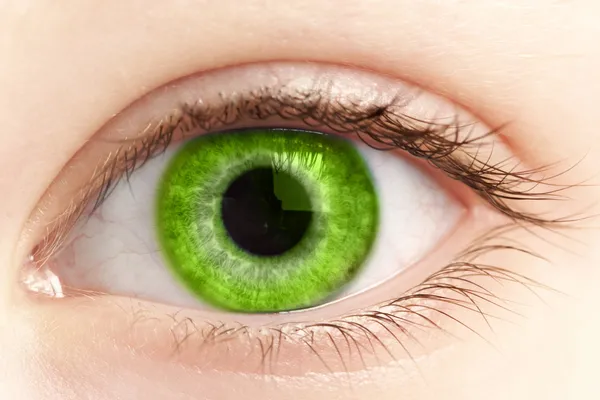 Зеленый глаз человека крупным планом — стоковое фото