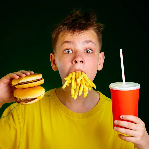 Niño y comida rápida . —  Fotos de Stock