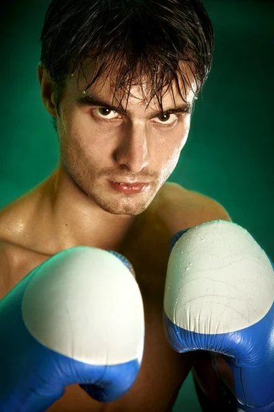 Box. muž v Boxerské rukavice — Stock fotografie