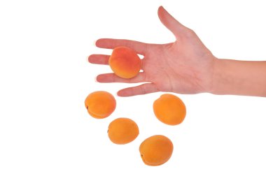 Apricots clipart