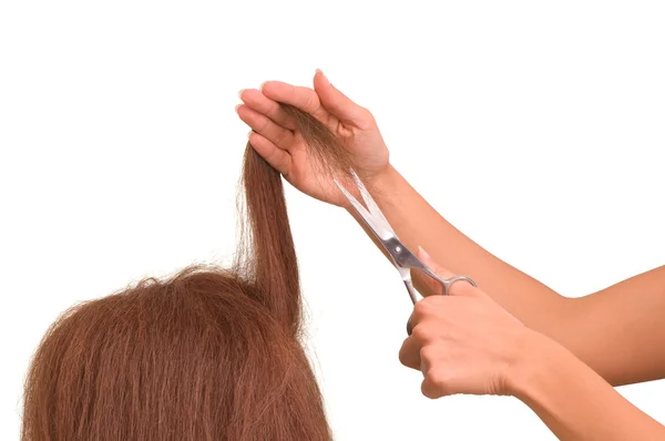 Taglio di capelli — Foto Stock