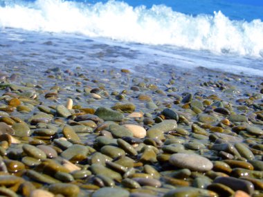 Deniz