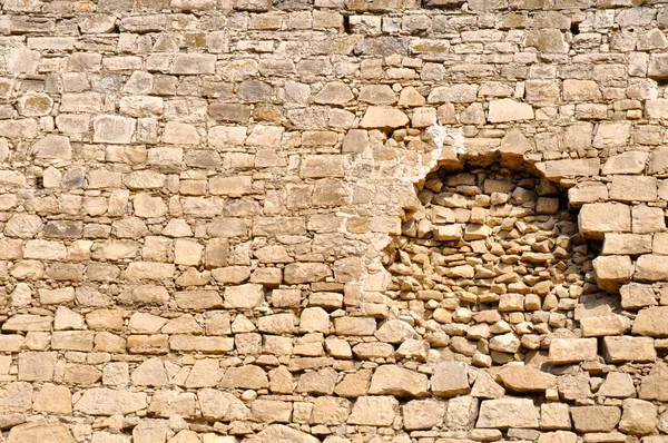 Stock image Brick wall