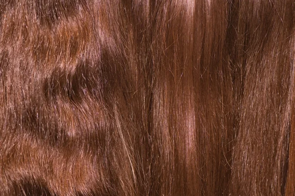 Μαλλιά — Φωτογραφία Αρχείου