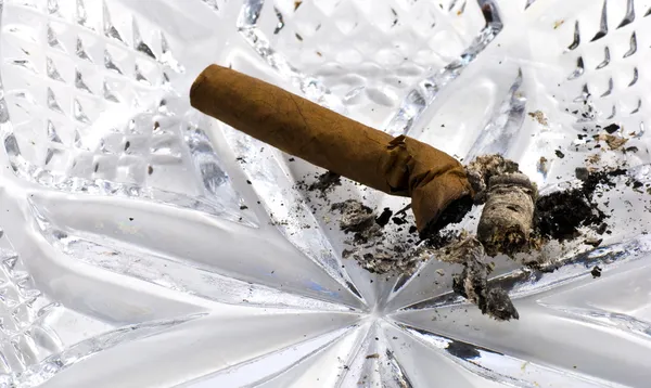 Πισινό cigara — Φωτογραφία Αρχείου