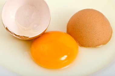 kırık tavuk yumurta