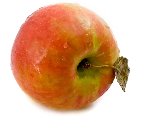新鮮なウェット リンゴ — ストック写真