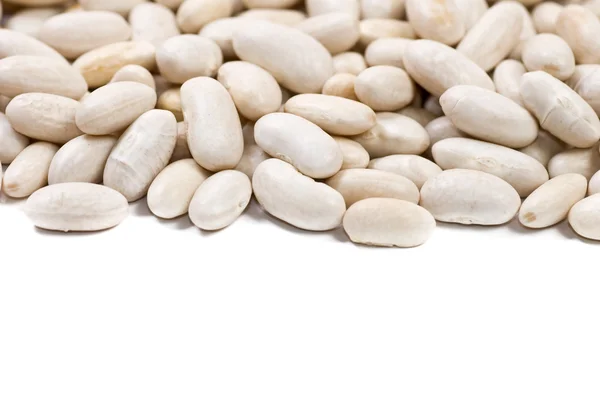 흰 껍질 콩 — 스톡 사진