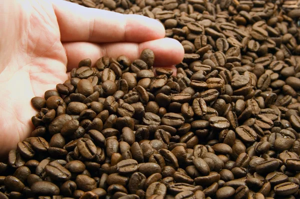 Hand with coffee bean — Stock Photo, Image