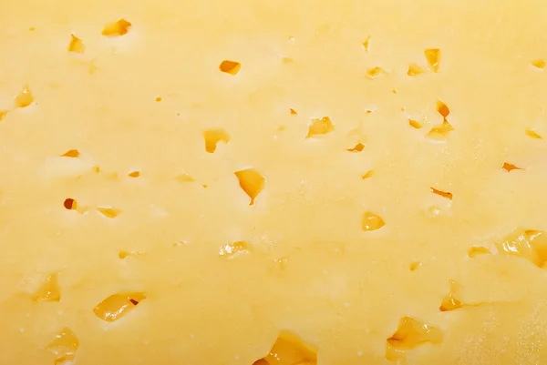 Cheese background Royalty Free Stock Images