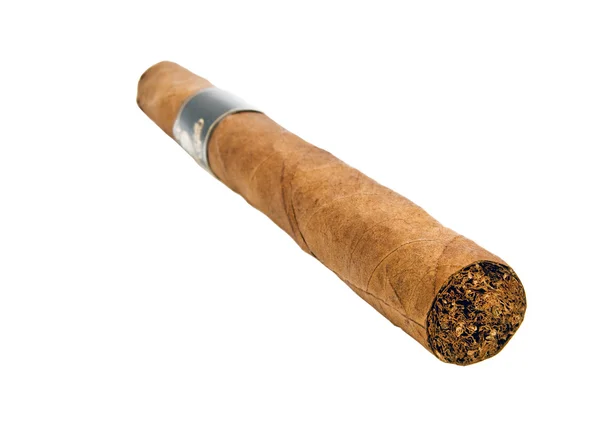 Cigar macro isolated — Stock Photo, Image