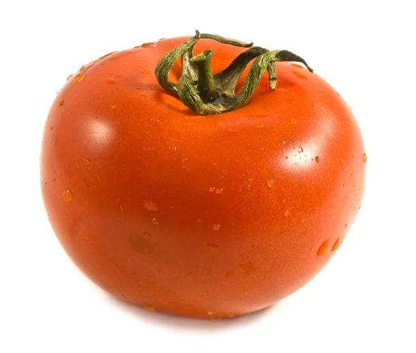Verse rijpe één tomaat met druppels w — Stockfoto