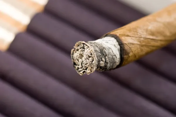 Cigar ash — Stock Photo, Image