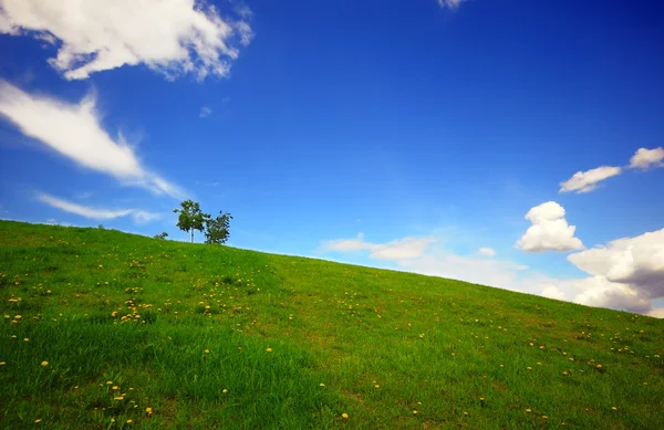 Zielone pola i błękitne niebo — Zdjęcie stockowe